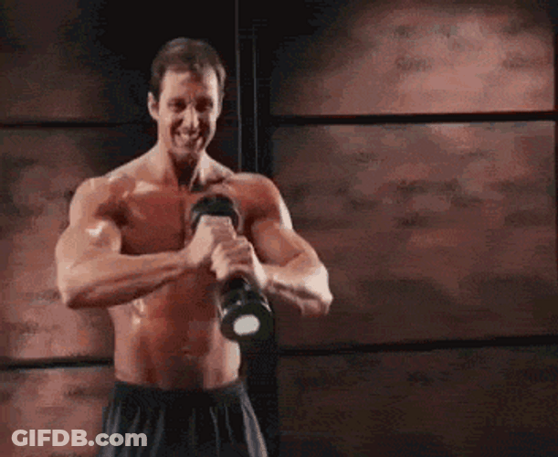 Shake Weight Fitness Program Workout GIF