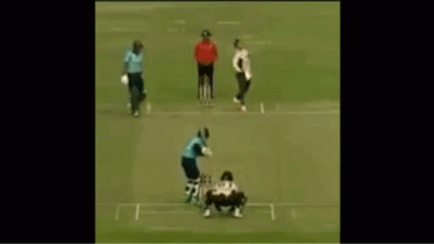 Shakib Al Hasan Angry Stumps Kick GIF