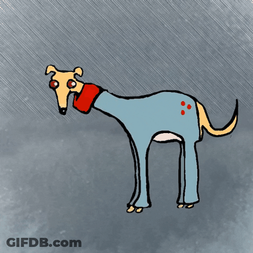 Shaking Cold Greyhound On Sweater GIF