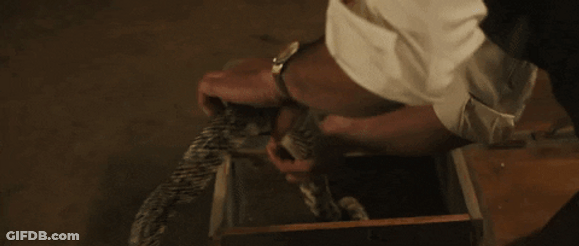 Shaking Guy Gets The Snake GIF