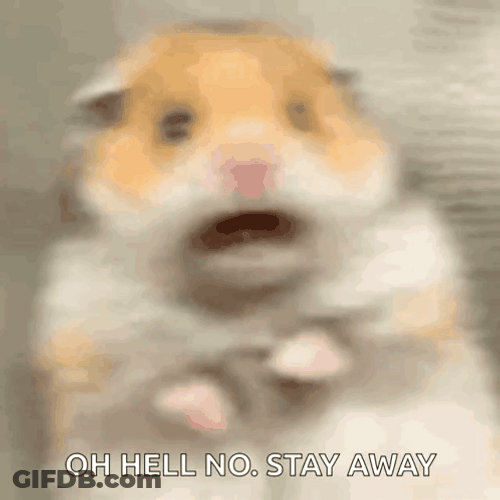Shaking Hamster Scared Hell Nah Stay Away GIF