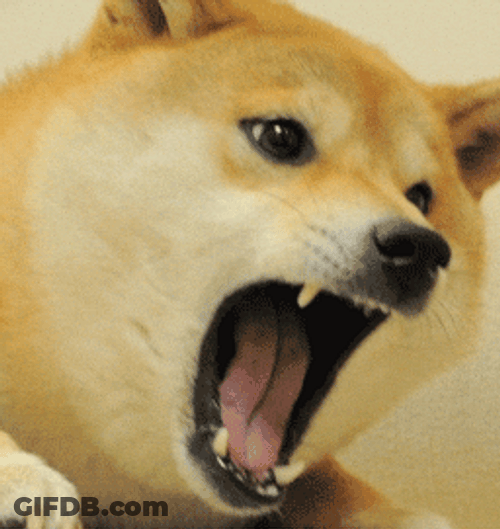 Shaking Shout Dog Meme GIF