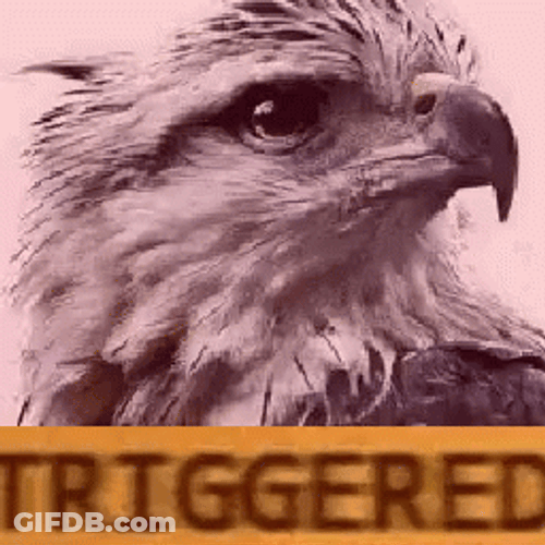 Shaking Triggered Hawk GIF