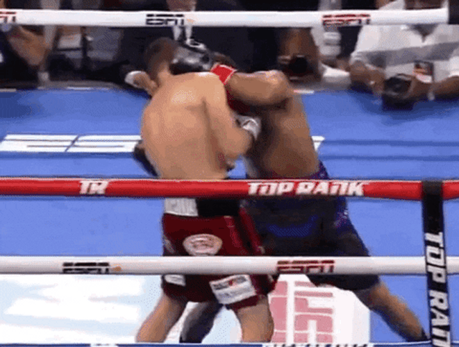 Shakur Stevenson Bringing Alberto Guevara Down GIF