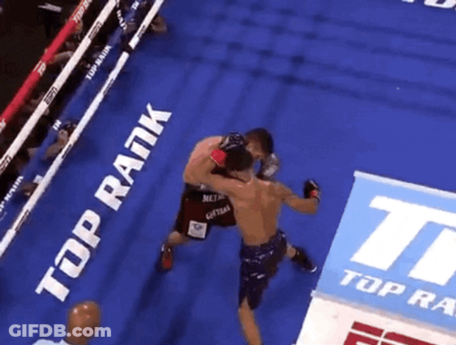 Shakur Stevenson Fight With Alberto Guevara Aerial View GIF