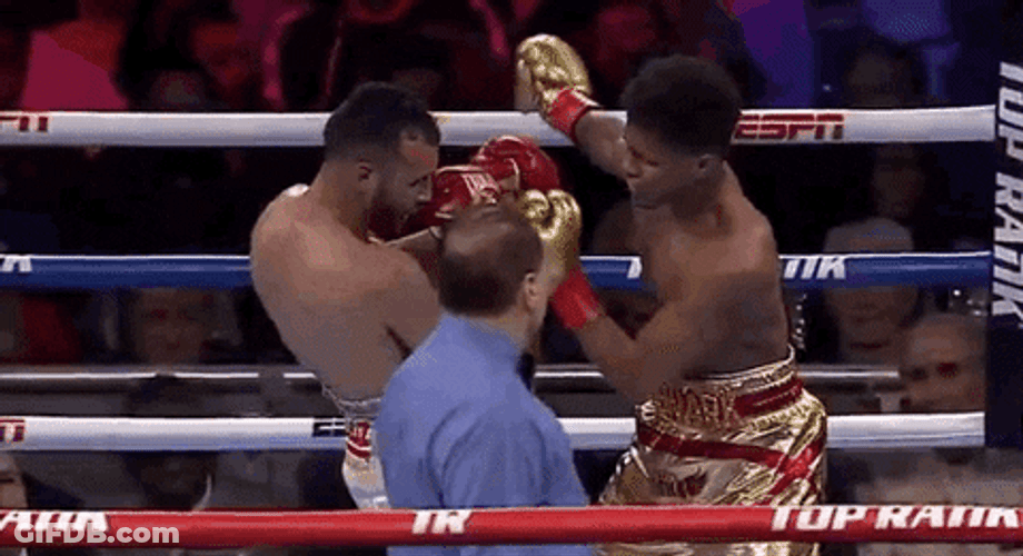 Shakur Stevenson Landing Punches On Christopher Diaz Face GIF