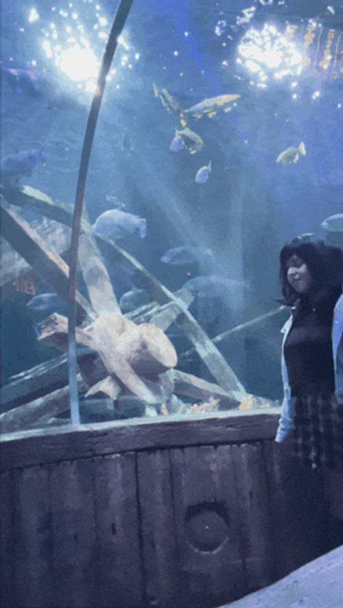 Shalymar Shagarita GIF