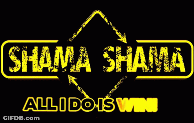 Shama All I Do Is Win GIF