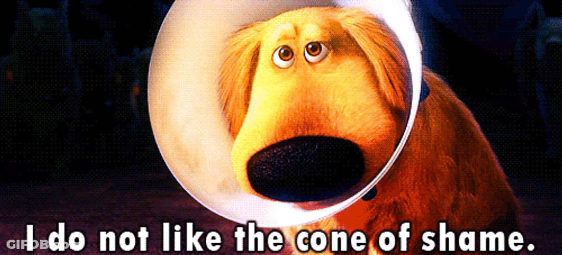 Shame Cone Of Dug GIF