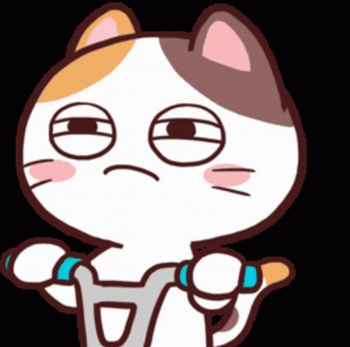 Shame On You Disappointed Cat GIF