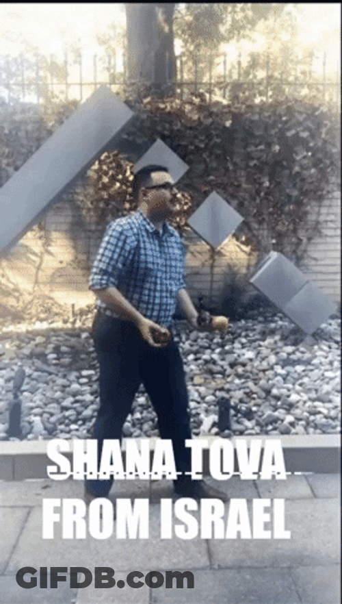 Shana Tova Israel Juggle Meme GIF