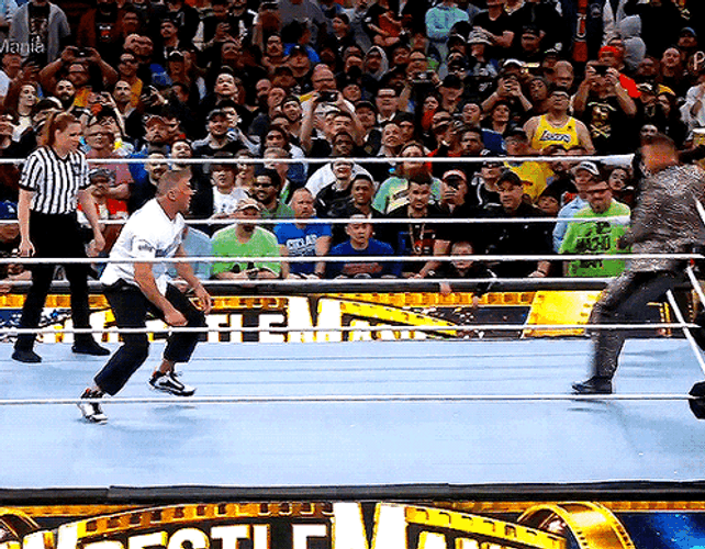 Shane Mcmahon Being Tricked On The Ring GIF