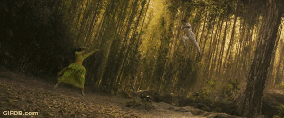 Shang Chi Fighting Ying Li GIF