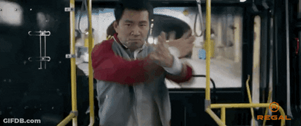 Shang Chi Who's Coming With Me GIF