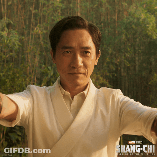 Shang Chi Xu Wenwu GIF