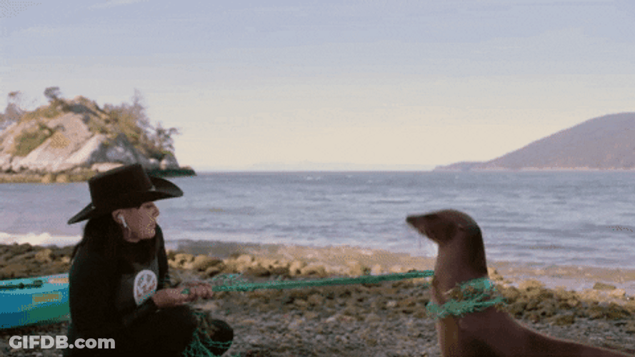 Shannen Doherty Petting A Sea Lion GIF