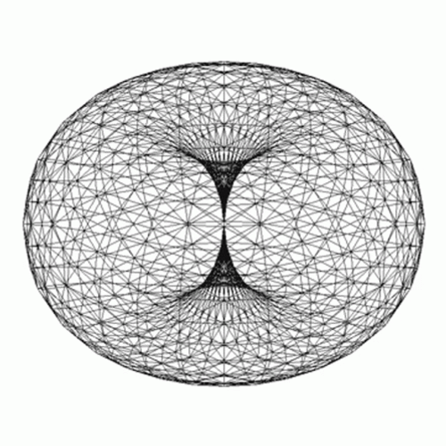 Shapes Torus Flower GIF