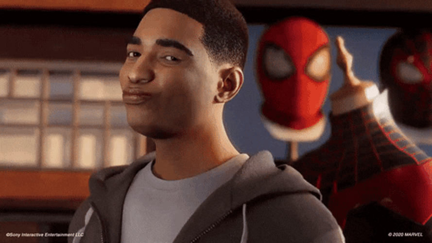 Shaq Cat Spiderman Meme GIF
