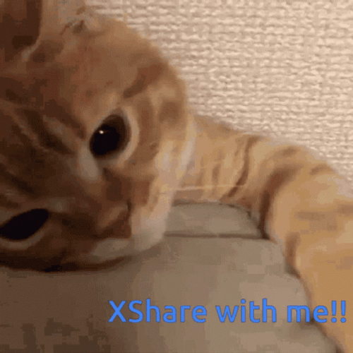 Share With Me Cat Meme GIF