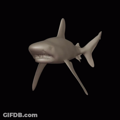 Shark 3D GIF