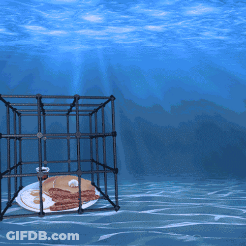 Shark Attack Food In Cage Animation GIF