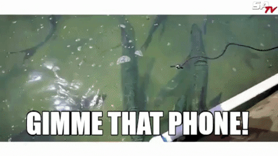 Shark Attack Gimme That Phone Funny Meme GIF