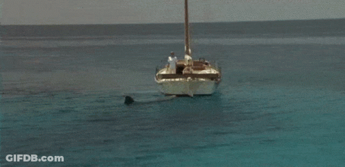 Shark Attacking Boat With Man GIF