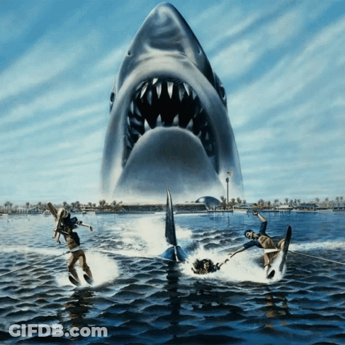 Shark Attacking People In Water GIF