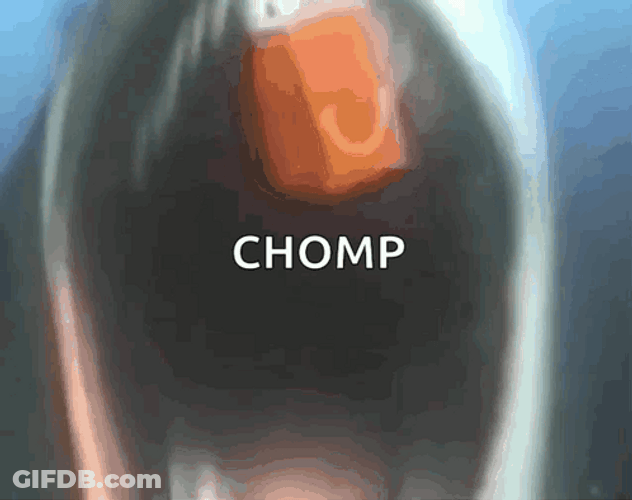 Shark Chomp Bite GIF