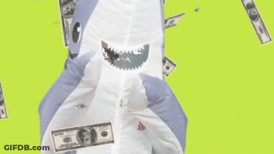 Shark Dancing In Raining Cash GIF