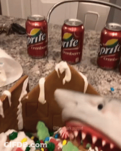 Shark Eating Gingerbread House GIF