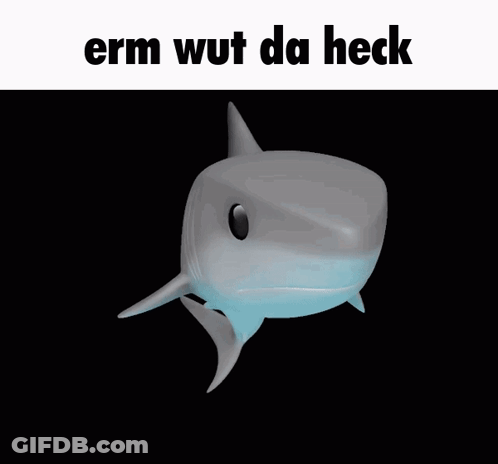 Shark Erm Wut Da Heck GIF
