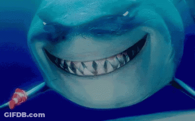 Shark Face Close Up With Clown Fish GIF