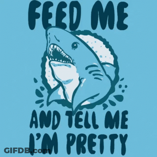 Shark Feed Me Starving GIF