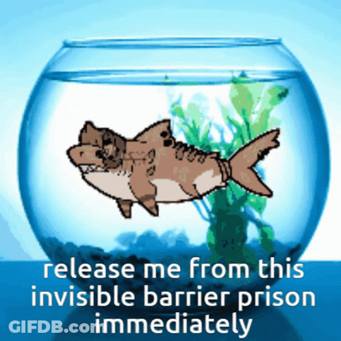 Shark Fish Bowl Release Me Invisible Barrier Prison GIF