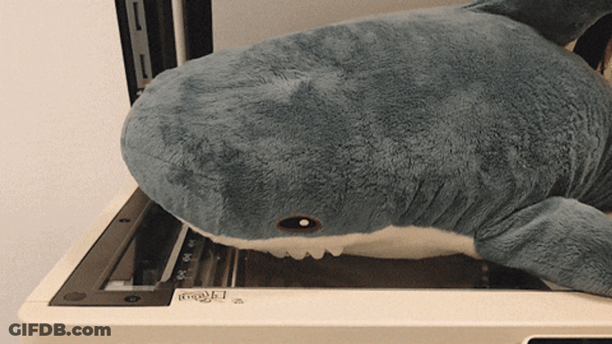 Shark Getting Copy On The Machine GIF