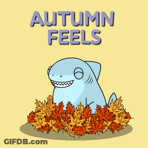 Shark In Pile Of Leaves Autumn Feels GIF