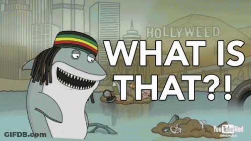 Shark In Rasta Hat In Front Of Hollywood Sign Saying What Is That GIF