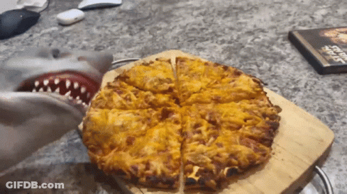 Shark Looking At Pizza Next To Book Titled Sharks GIF