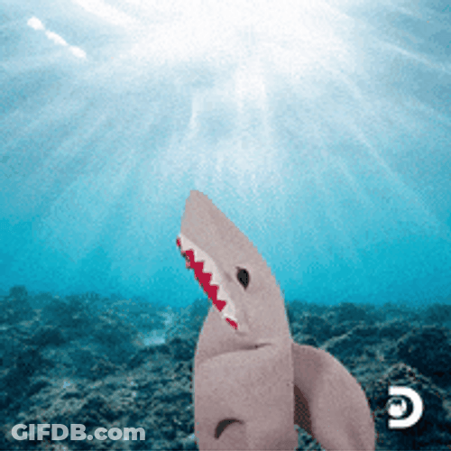 Shark Mascot How You Doin Flirty GIF