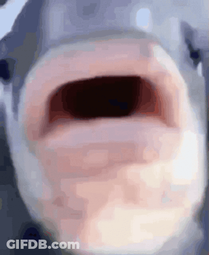 Shark Mouth Wide Open GIF