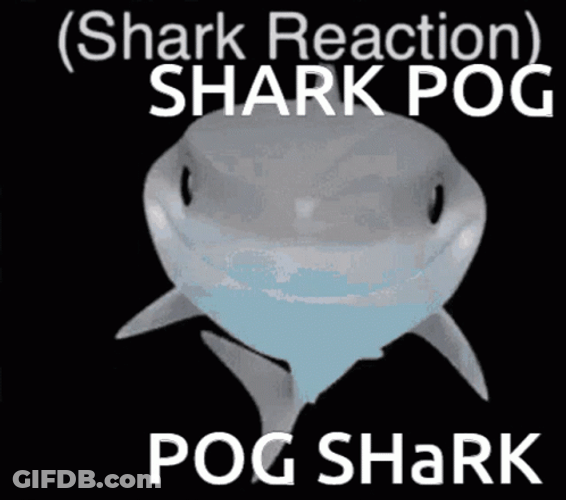 Shark Pog Reaction Animation GIF