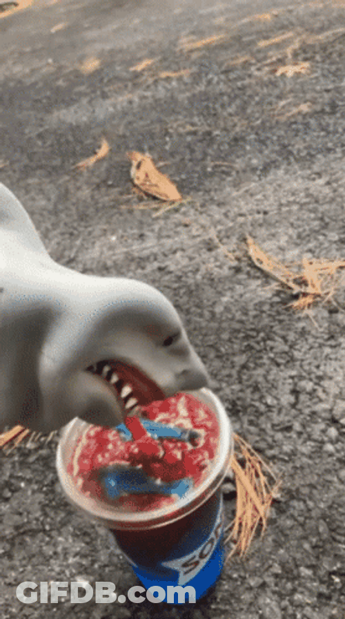 Shark Puppet Drinking Slurpee GIF