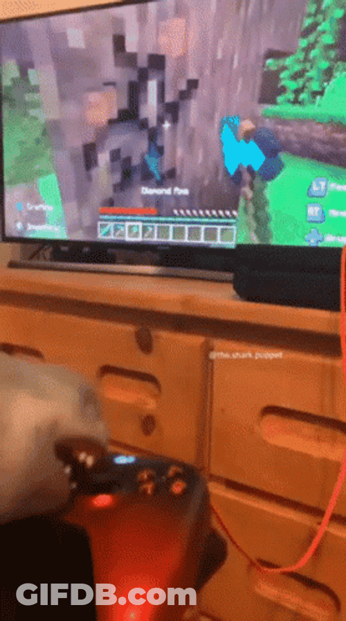 Shark Puppet Playing Xbox Minecraft Meme GIF
