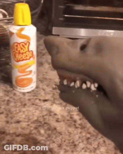 Shark Puppet With Bottle Of Easy Cheese GIF