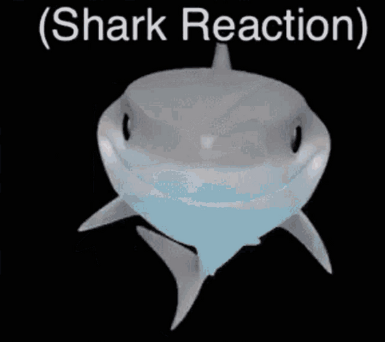 Shark Shocked Reaction GIF