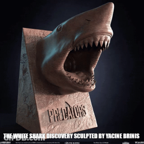 Shark Statue With Predators GIF