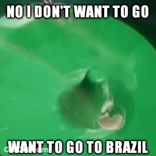 Shark Swimming In Green Pool Saying No I Don't Want To Go To Brazil GIF