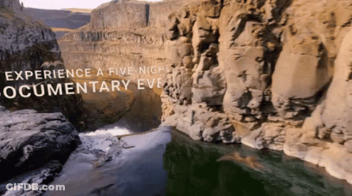 Shark Swimming In Ocean With Apple TV+ Logo GIF