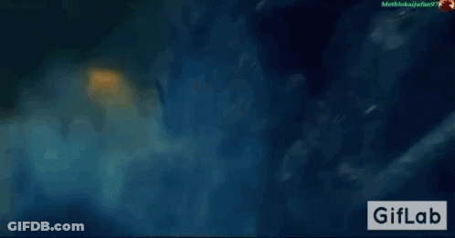 Shark Swimming In Ocean GIF